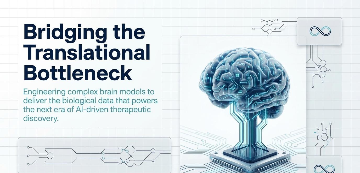 A human brain-on-chip in vitro neural model